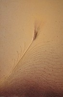 /album/galleria-foto-opere-di-pittura/a25-s-lavorato-l-oro-del-grano-tecn-mista-60x80-jpg/